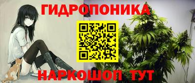 СК Абакан