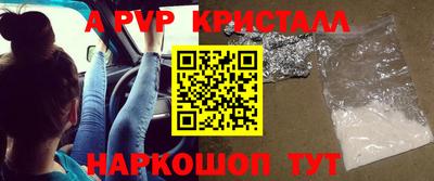 СК Абакан
