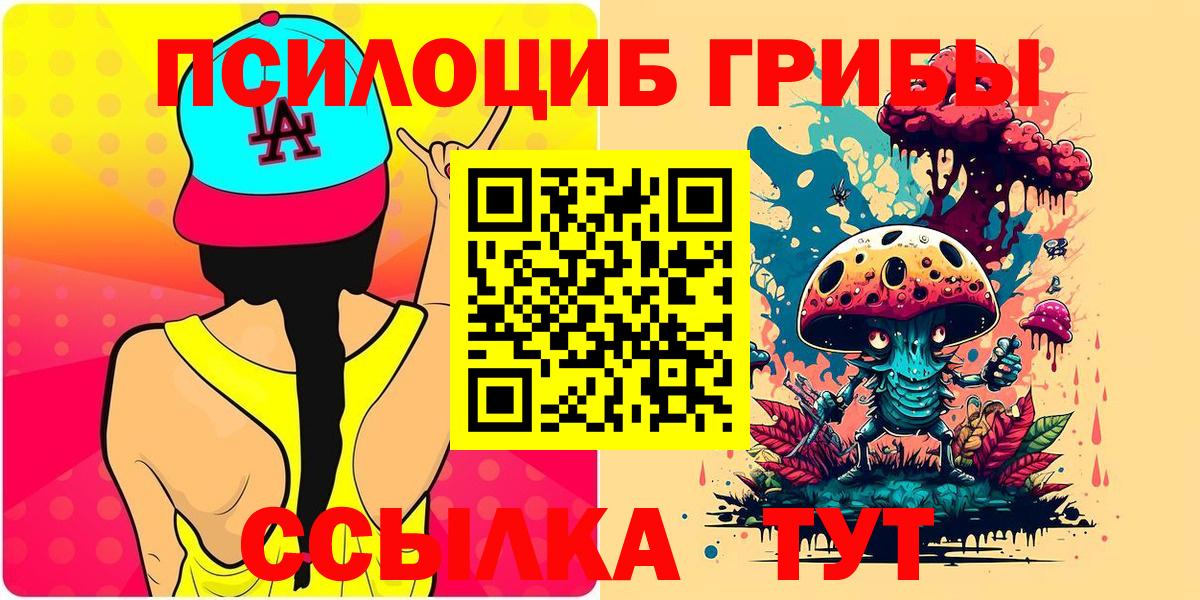 Псилоцибиновые грибы MAGIC MUSHROOMS  Вход с VPN  Азнакаево  продажа наркотиков  Галлюциногенные грибы мицелий 